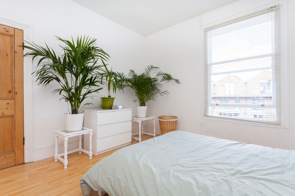 Forest Drive West, Upper Leytonstone E11 Theydons